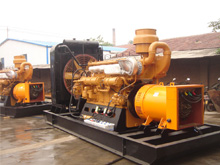 南皮发电机组的频率规格是如何确定的？